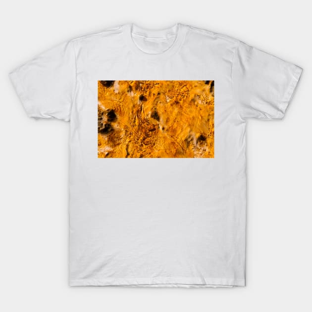 Scalding T-Shirt by thadz